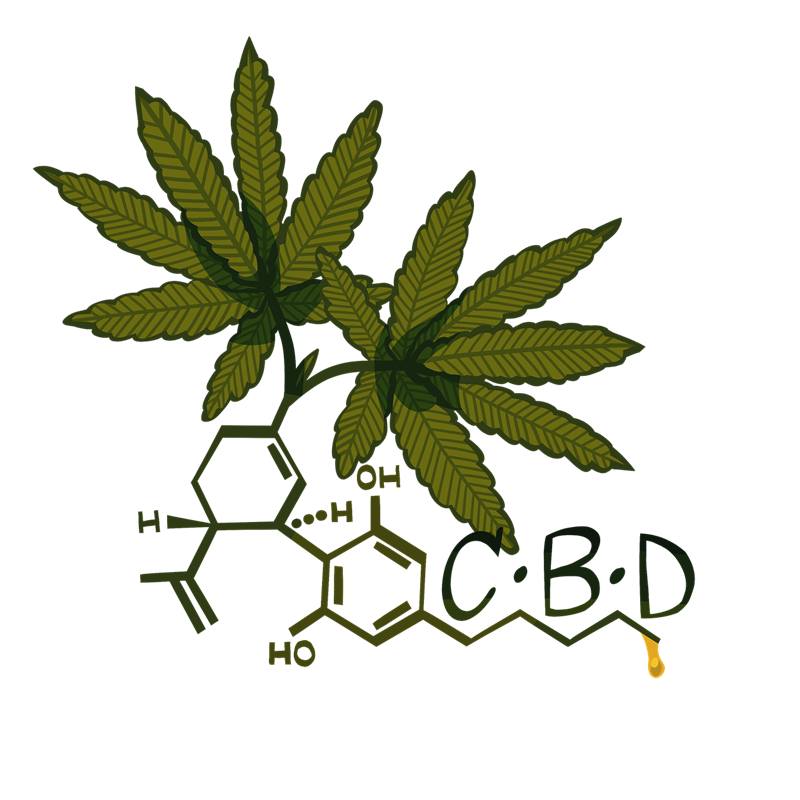CBD, Heilmittel