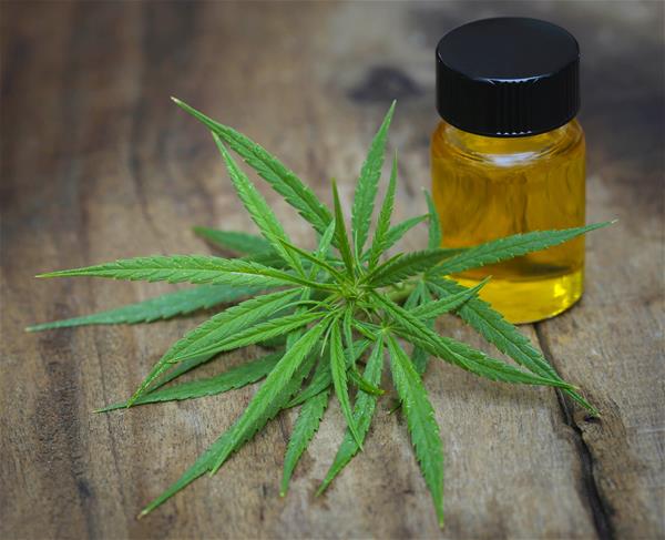 CBD Öl, Heilmittel